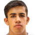 L. Alvarez