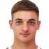 A. Petrović