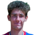 D. N. Cazacu