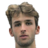 N. Larwig
