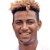 Calvin Hemery image