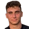 Matteo Mesaglio image