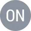 N. Onozawa