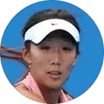 X. Gao