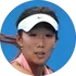 X. Gao