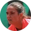 K. Vlckova