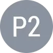 P. Petrov