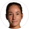 E. Mamedova