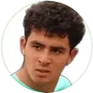 N. Villalon