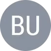 E. Bulut